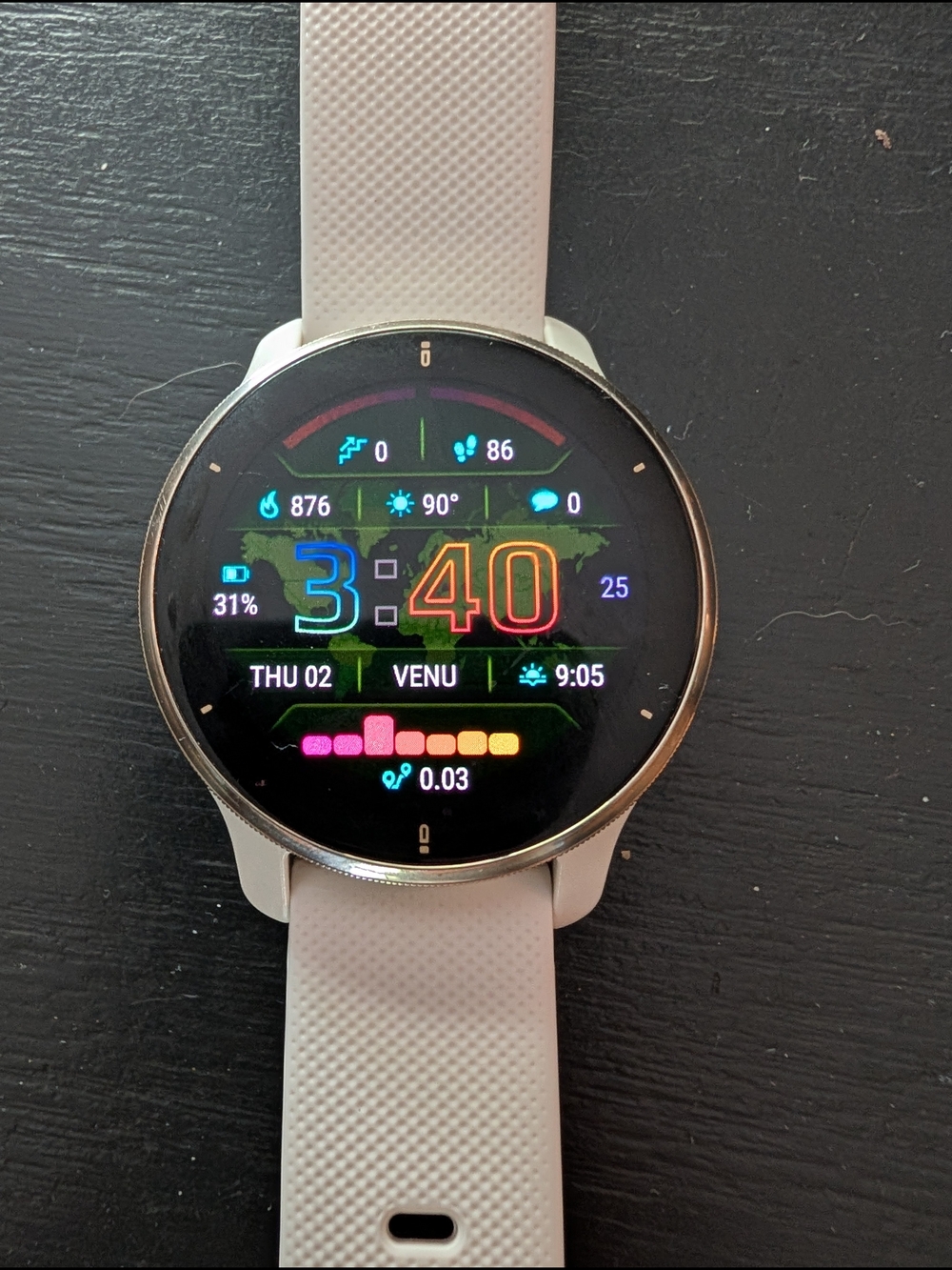 Garmin Venu 2 Plus Music Smartwatch